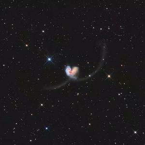 健身房小说王猛和李静
