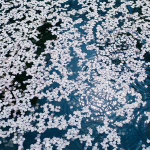 健身房小说王猛和李静
